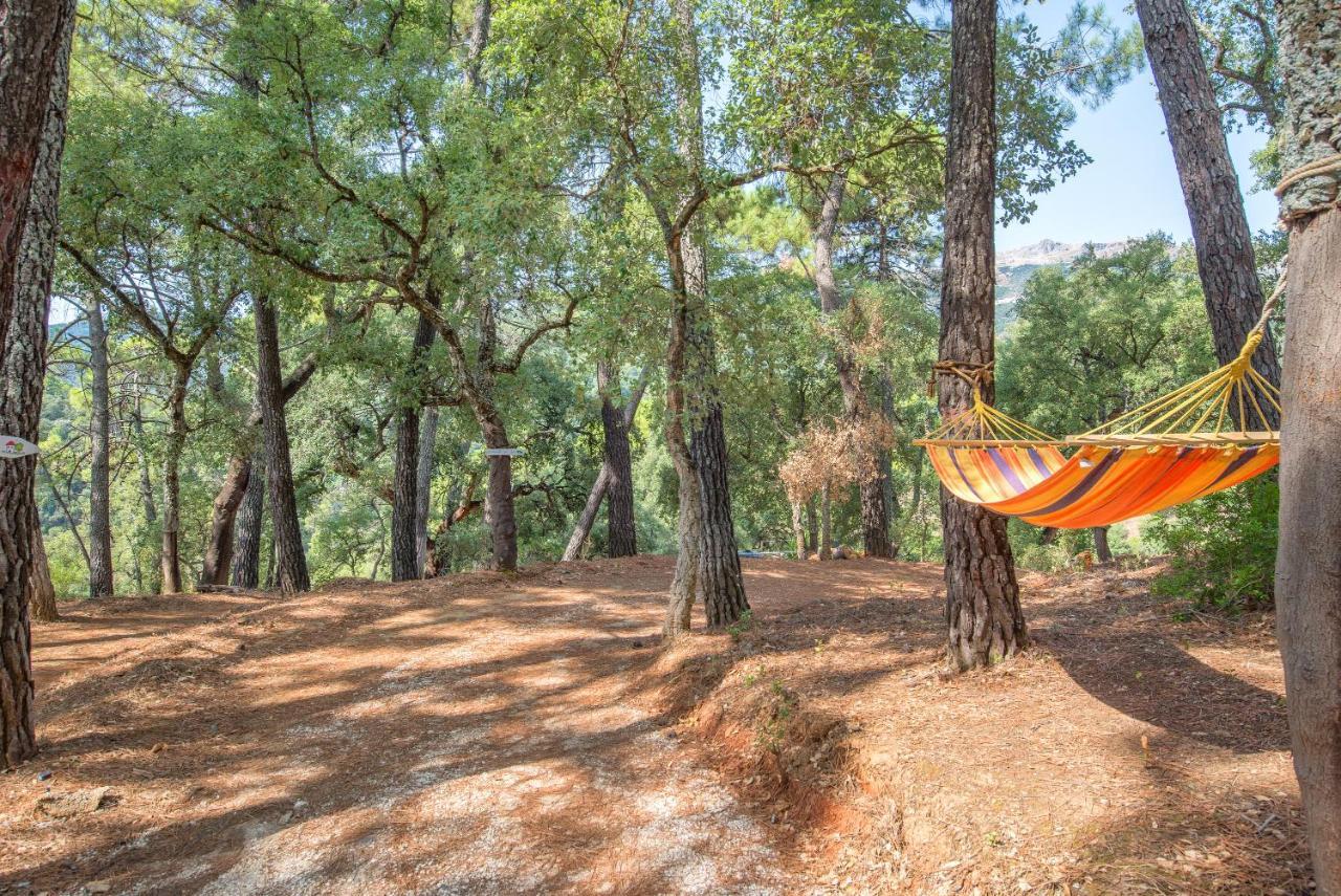 Ferienhaus Monte Dios *